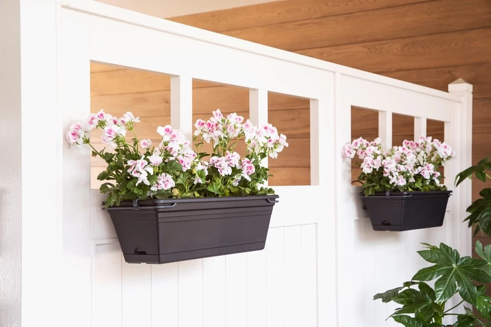 Tuin Verkoop -Tuin Verkoop balkonbak chill trough set intense black 50 x 19 5 x 20 cm 1000x667 624c293f530ac l