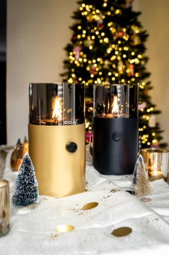 Cosiscoop Original Gold Smoked -Tuin Verkoop cosiscoop original gold smoked 962x1443 6398a092aa922 l