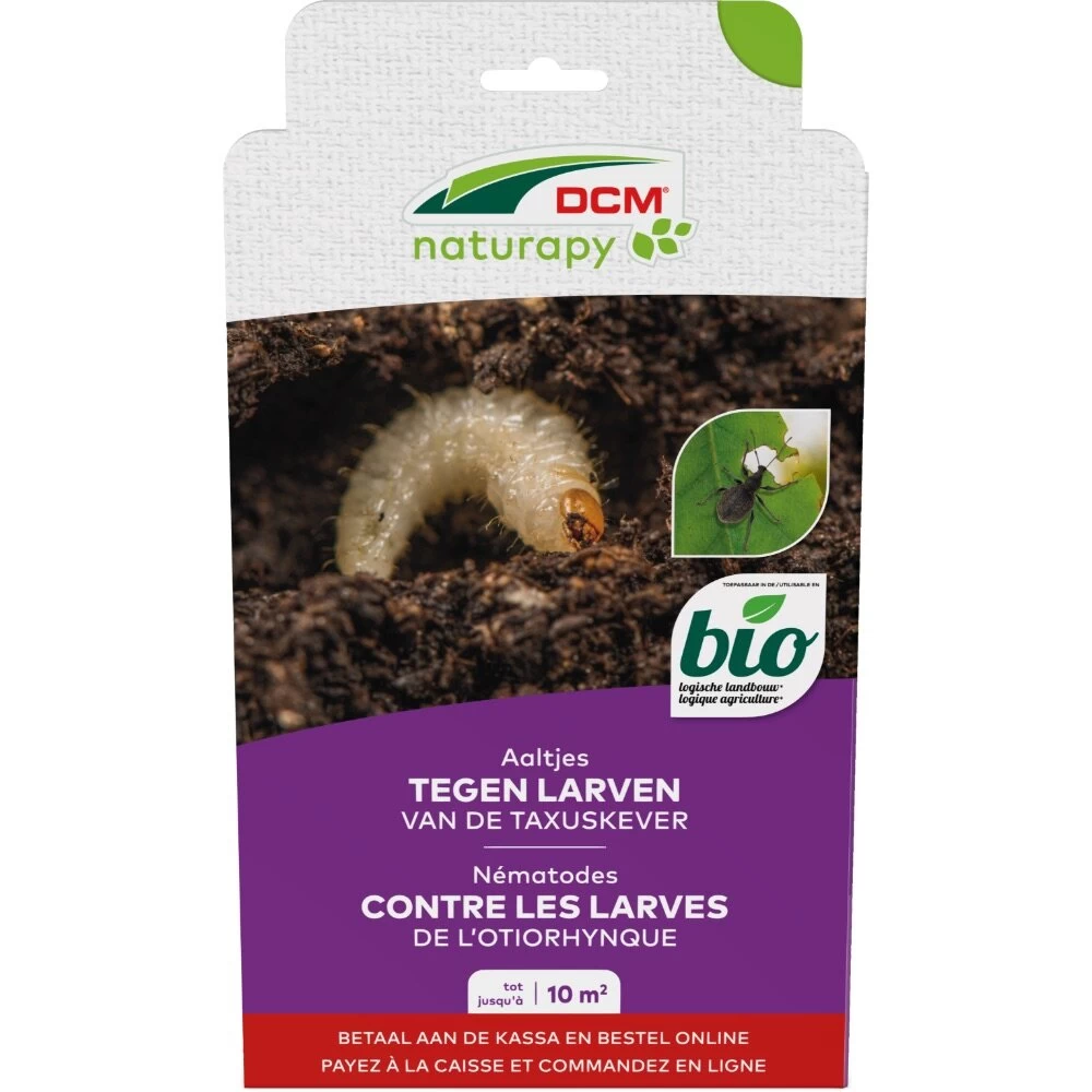 DCM Aaltjes Tegen Larven Van De Taxuskever (Kraussi-Guard®) - Bestelcode - 10 M² (5 Mio. Aaltjes) 3 DCM Aaltjes Tegen Larven Van De Taxuskever (Kraussi-Guard®) - Bestelcode - 10 M² (5 Mio. Aaltjes)