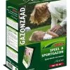 DCM Graszaad Activo® -Tuin Verkoop dcm graszaad activo 1586240792 1 l