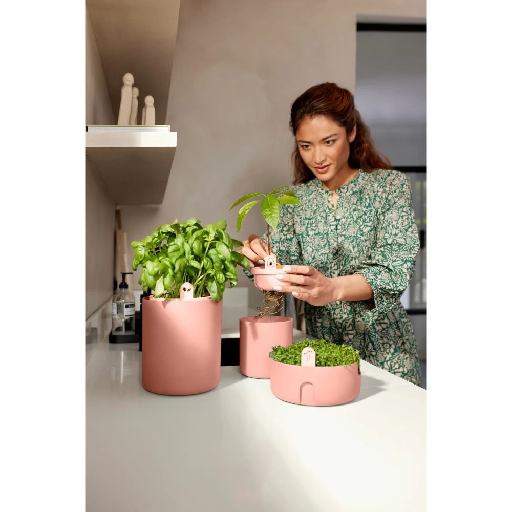 Elho Amazing Avocado Pot Bruin 9 Elho Amazing Avocado Pot Bruin - Afbeelding 7