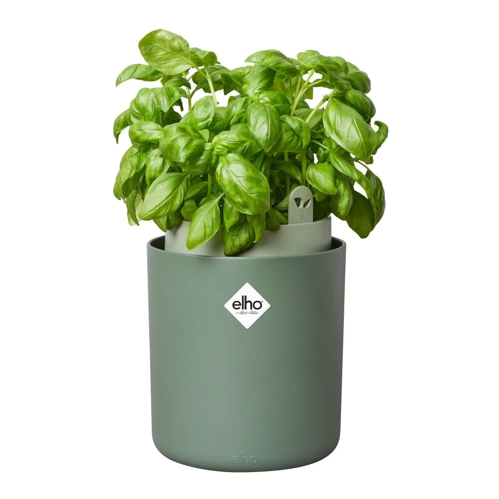 Elho Bouncy Basil Groen 4 Elho Bouncy Basil Groen - Afbeelding 2