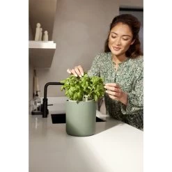 Elho Bouncy Basil Groen 19 Elho Bouncy Basil Groen -Tuin Verkoop elho bouncy basil groen 1000x1000 64aebaf199bff l