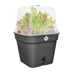 Elho Green Basics Kweekpot Vierk. Allin1 35 Cm Zwart -Tuin Verkoop elho green basics kweekpot vierk allin1 35 cm zwart 1000x1000 64aebaeccc28b l