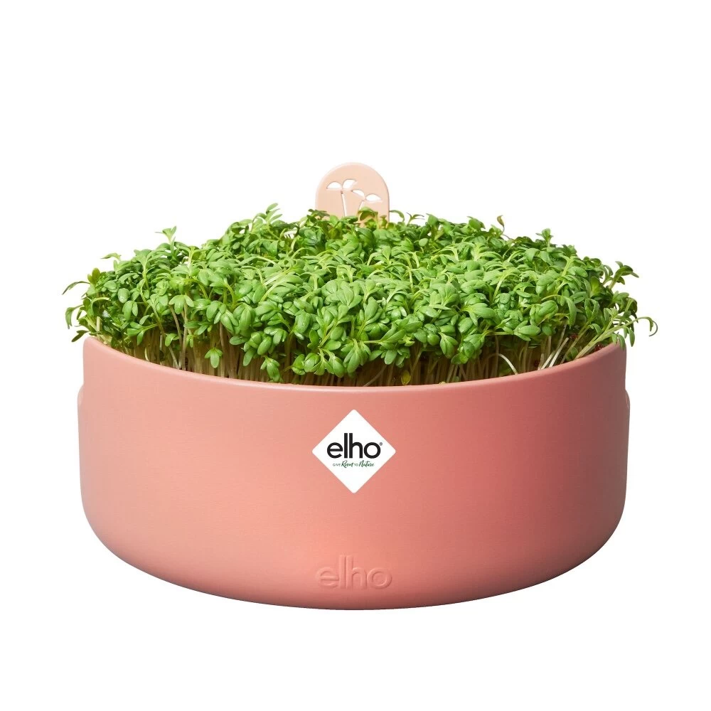 Elho Magic Microgreens Bruin 4 Elho Magic Microgreens Bruin - Afbeelding 2