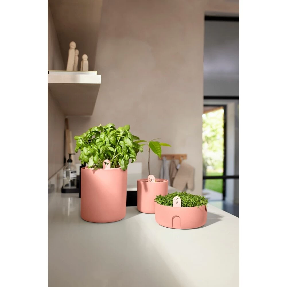 Elho Magic Microgreens Bruin 9 Elho Magic Microgreens Bruin - Afbeelding 7