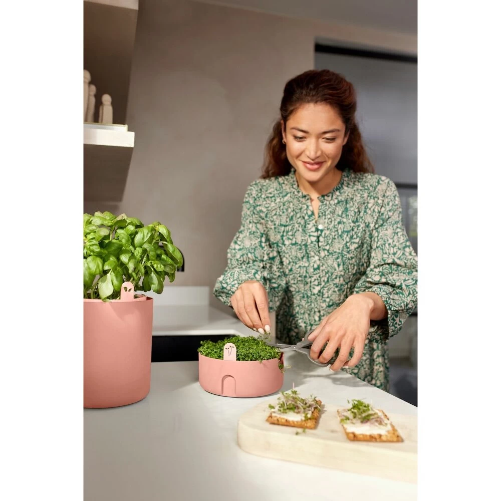 Elho Magic Microgreens Bruin 11 Elho Magic Microgreens Bruin - Afbeelding 9