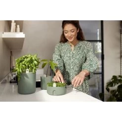 Elho Magic Microgreens Groen -Tuin Verkoop elho magic microgreens groen 1000x1000 64aebb19e5063 l