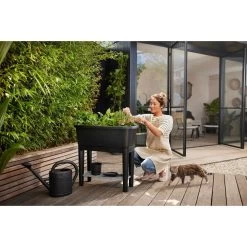 Elho Noa Kweektafel Zwart 17 Elho Noa Kweektafel Zwart -Tuin Verkoop elho noa kweektafel zwart 1000x1000 64aebacac31cf l