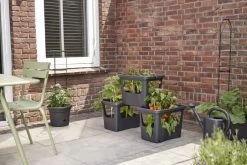 Elho Plantenbak Green Basics Stack & Grow Large Zwart -Tuin Verkoop elho plantenbak green basics stack grow large zwart 800x534 620e3d4fc59c1 l