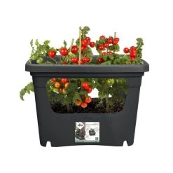 Elho Plantenbak Green Basics Stack & Grow Large Zwart -Tuin Verkoop elho plantenbak green basics stack grow large zwart 800x800 620e3d4eed857 l