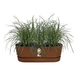 Elho Plantenbak Greenville Easy Balcony 52cm Bruin 8 Elho Plantenbak Greenville Easy Balcony 52cm Bruin -Tuin Verkoop elho plantenbak greenville easy balcony 52cm bruin 800x800 620e3d76ef20a l