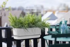 Elho Plantenbak Greenville Easy Balcony 52cm Wit 11 Elho Plantenbak Greenville Easy Balcony 52cm Wit -Tuin Verkoop elho plantenbak greenville easy balcony 52cm wit 800x534 620e3d70ef9fa l