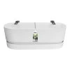 Elho Plantenbak Greenville Easy Balcony 52cm Wit -Tuin Verkoop elho plantenbak greenville easy balcony 52cm wit 800x800 620e3d700c947 l