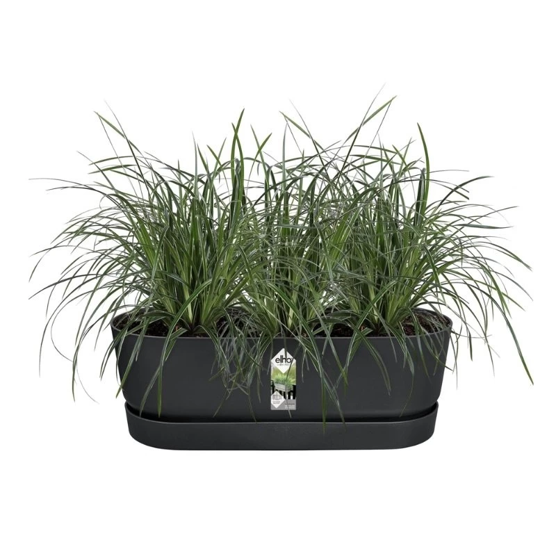 Elho Plantenbak Greenville Easy Balcony 52cm Zwart 4 Elho Plantenbak Greenville Easy Balcony 52cm Zwart - Afbeelding 2