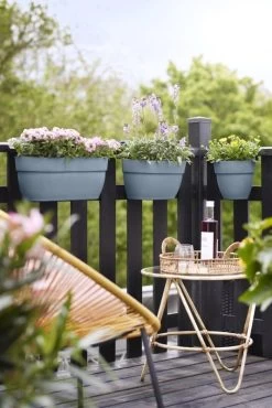 Elho Plantenbak Vibia Campana Easy Hanger Large Blauw 13 Elho Plantenbak Vibia Campana Easy Hanger Large Blauw -Tuin Verkoop elho plantenbak vibia campana easy hanger large blauw 534x800 620e3cf21bf00 l