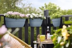 Elho Plantenbak Vibia Campana Easy Hanger Large Blauw 12 Elho Plantenbak Vibia Campana Easy Hanger Large Blauw -Tuin Verkoop elho plantenbak vibia campana easy hanger large blauw 800x534 620e3cf1db03a l