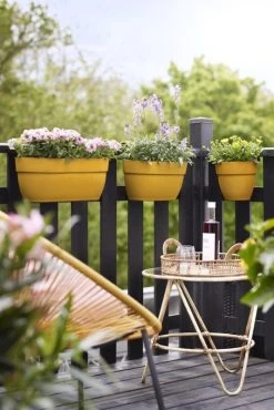 Elho Plantenbak Vibia Campana Easy Hanger Large Geel -Tuin Verkoop elho plantenbak vibia campana easy hanger large geel 534x800 620e3ce805d55 l