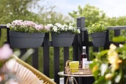 Elho Plantenbak Vibia Campana Easy Hanger Large Grijs -Tuin Verkoop elho plantenbak vibia campana easy hanger large grijs 800x534 620e3ce6bad5e l