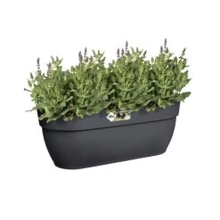 Elho Plantenbak Vibia Campana Easy Hanger Large Grijs -Tuin Verkoop elho plantenbak vibia campana easy hanger large grijs 800x800 620e3ce607086 l