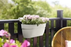 Elho Plantenbak Vibia Campana Easy Hanger Large Wit -Tuin Verkoop elho plantenbak vibia campana easy hanger large wit 800x534 620e3cef11e5e l