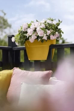 Elho Plantenbak Vibia Campana Flower Bridge 40cm Geel -Tuin Verkoop elho plantenbak vibia campana flower bridge 40cm geel 534x800 620e3d1223b34 l