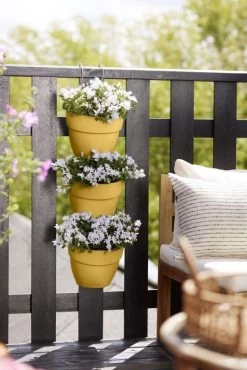 Elho Plantenbak Vibia Campana Vertical Forest Set/3 Geel -Tuin Verkoop elho plantenbak vibia campana vertical forest set 3 geel 534x800 620e3cf4d1a98 l