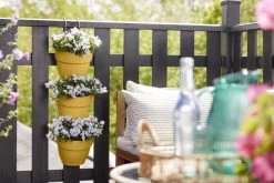 Elho Plantenbak Vibia Campana Vertical Forest Set/3 Geel -Tuin Verkoop elho plantenbak vibia campana vertical forest set 3 geel 800x534 620e3cf49f6ae l