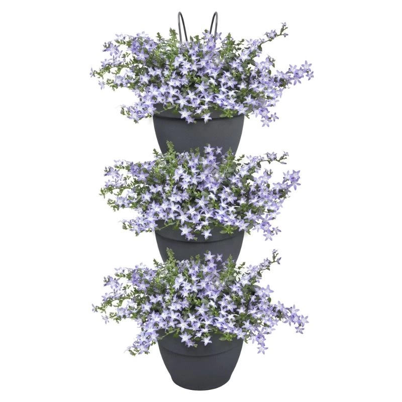 Elho Plantenbak Vibia Campana Vertical Forest Set/3 Grijs 5 Elho Plantenbak Vibia Campana Vertical Forest Set/3 Grijs - Afbeelding 3