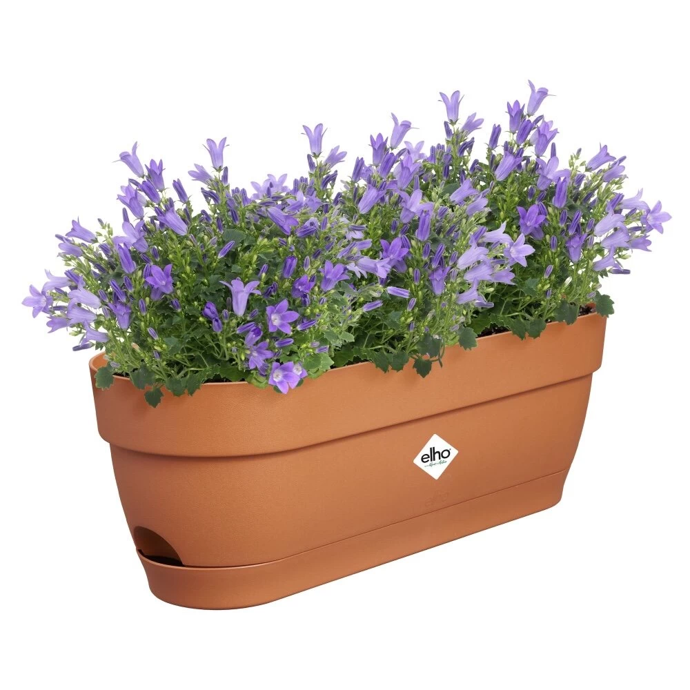 Elho Vibia Campana Balkonbak 50 Cm Bruin 3 Elho Vibia Campana Balkonbak 50 Cm Bruin