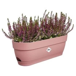 Elho Vibia Campana Balkonbak 50 Cm Roze -Tuin Verkoop elho vibia campana balkonbak 50 cm roze 1000x1000 64aebb20afd3a l