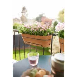 Elho Vibia Campana Balkonbak 70 Cm Bruin -Tuin Verkoop elho vibia campana balkonbak 70 cm bruin 1000x1000 64aebb330520e l