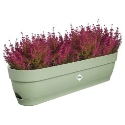 Elho Vibia Campana Balkonbak 70 Cm Groen -Tuin Verkoop elho vibia campana balkonbak 70 cm groen 1000x1000 64aebb33def32 l