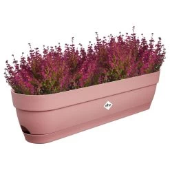 Elho Vibia Campana Balkonbak 70 Cm Roze -Tuin Verkoop elho vibia campana balkonbak 70 cm roze 1000x1000 64aebb2f1d9f9 l