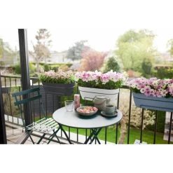 Elho Vibia Campana Balkonbak Allin1 50 Cm Blauw -Tuin Verkoop elho vibia campana balkonbak allin1 50 cm blauw 1000x1000 64aebb0f3f11f l