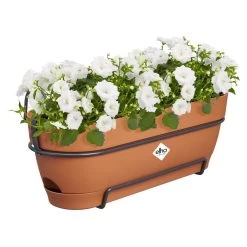 Elho Vibia Campana Balkonbak Allin1 50 Cm Bruin -Tuin Verkoop elho vibia campana balkonbak allin1 50 cm bruin 1000x1000 64aebb04c4e53 l