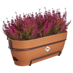 Elho Vibia Campana Balkonbak Allin1 50 Cm Bruin -Tuin Verkoop elho vibia campana balkonbak allin1 50 cm bruin 1000x1000 64aebb051bf3c l