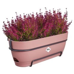 Elho Vibia Campana Balkonbak Allin1 50 Cm Roze -Tuin Verkoop elho vibia campana balkonbak allin1 50 cm roze 1000x1000 64aebb023d96d l