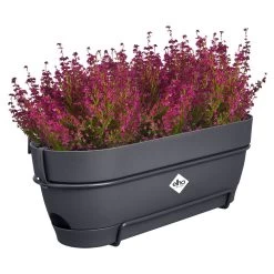 Elho Vibia Campana Balkonbak Allin1 50 Cm Zwart -Tuin Verkoop elho vibia campana balkonbak allin1 50 cm zwart 1000x1000 64aebb08e39c9 l