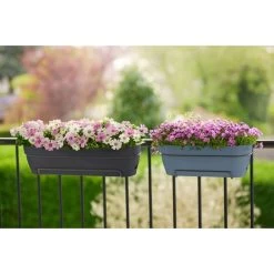 Elho Vibia Campana Balkonbak Allin1 50 Cm Zwart -Tuin Verkoop elho vibia campana balkonbak allin1 50 cm zwart 1000x1000 64aebb09e8c74 l