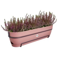 Elho Vibia Campana Balkonbak Allin1 70 Cm Roze -Tuin Verkoop elho vibia campana balkonbak allin1 70 cm roze 1000x1000 64aebb12b01eb l