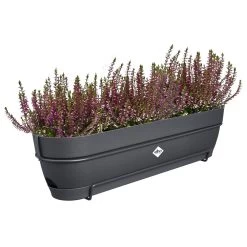 Elho Vibia Campana Balkonbak Allin1 70 Cm Zwart -Tuin Verkoop elho vibia campana balkonbak allin1 70 cm zwart 1000x1000 64aebaf97023f l