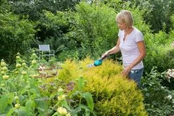 GARDENA Accu Gras- En Buxusschaar Set Accucut Li -Tuin Verkoop gardena accu gras en buxusschaar set accucut li 1619704816 l