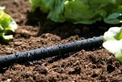 GARDENA Duizenddruppelslang 15m -Tuin Verkoop gardena duizenddruppelslang 15m 1619704664 1 l