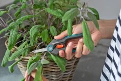 GARDENA FreshCut -Tuin Verkoop gardena freshcut 1500x1000 640af81397952 l