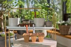 GARDENA FreshCut Set 9 GARDENA FreshCut Set -Tuin Verkoop gardena freshcut set 1500x1000 640af81aaa70a l