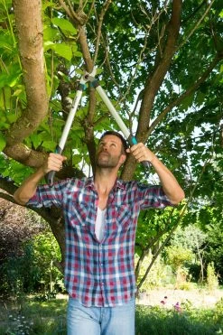 GARDENA Takkenschaar EasyCut 680 B -Tuin Verkoop gardena takkenschaar easycut 680 b 1000x1500 640af7e944a14 l