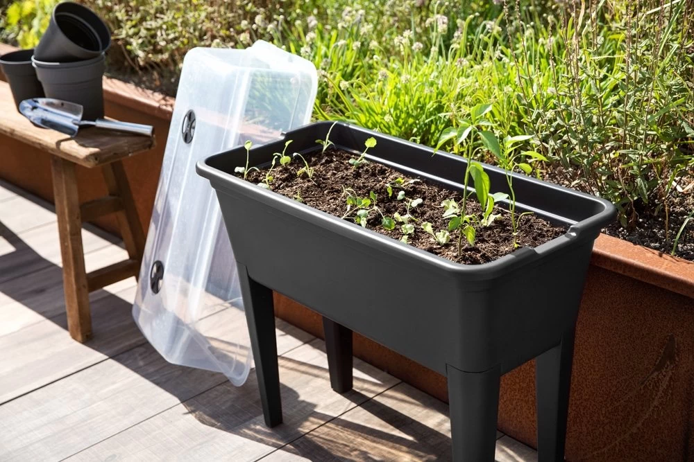 Tuin Verkoop -Tuin Verkoop kweektafel intense black 50 l incl deksel 79 x 25 x 76 cm 1000x667 624c294970547 l