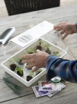 Nature Deksel Voor Kweekbak 55x31cm 8 Nature Deksel Voor Kweekbak 55x31cm -Tuin Verkoop nature deksel voor kweekbak 55x31cm 595x800 6214a0230c942 l