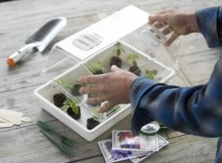 Nature Deksel Voor Kweekbak 55x31cm 9 Nature Deksel Voor Kweekbak 55x31cm -Tuin Verkoop nature deksel voor kweekbak 55x31cm 800x587 6214a0233f631 l